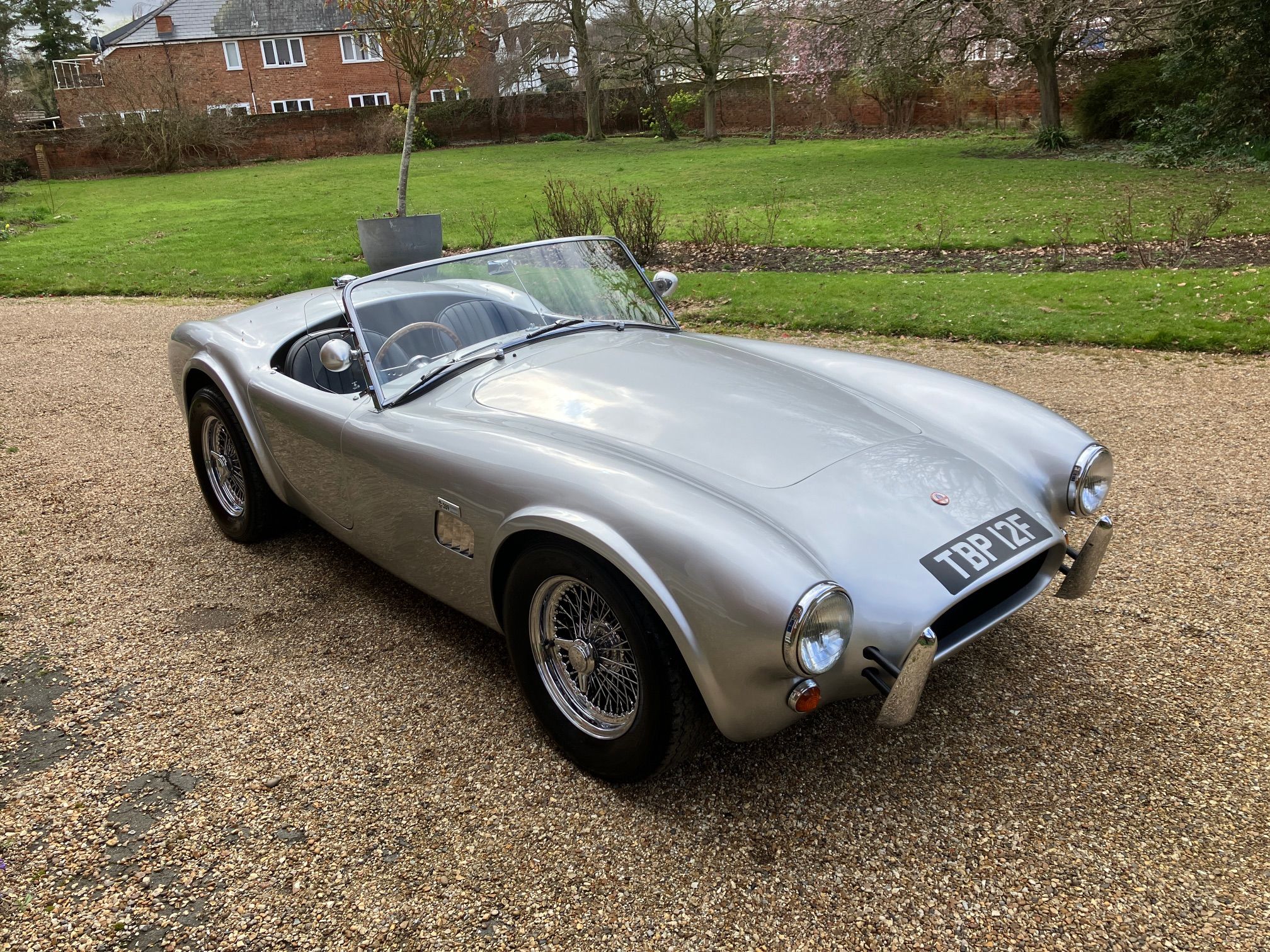 289 COBRA HAWK SILVER