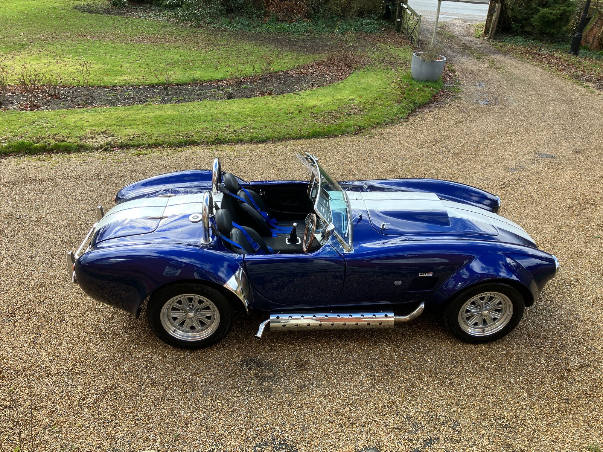 BLUE AND WHITE COBRA