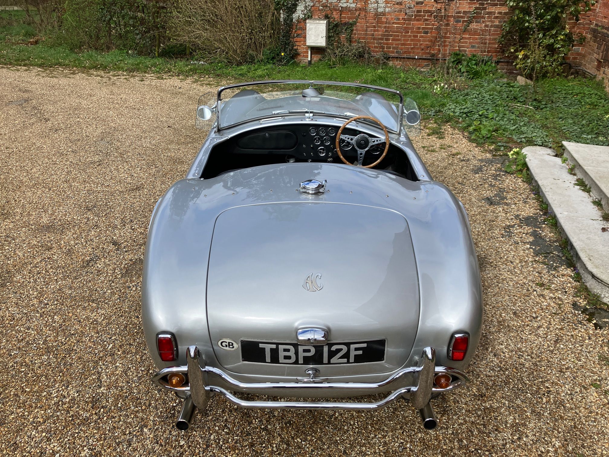 CLASSIC 289 COBRA HAWK