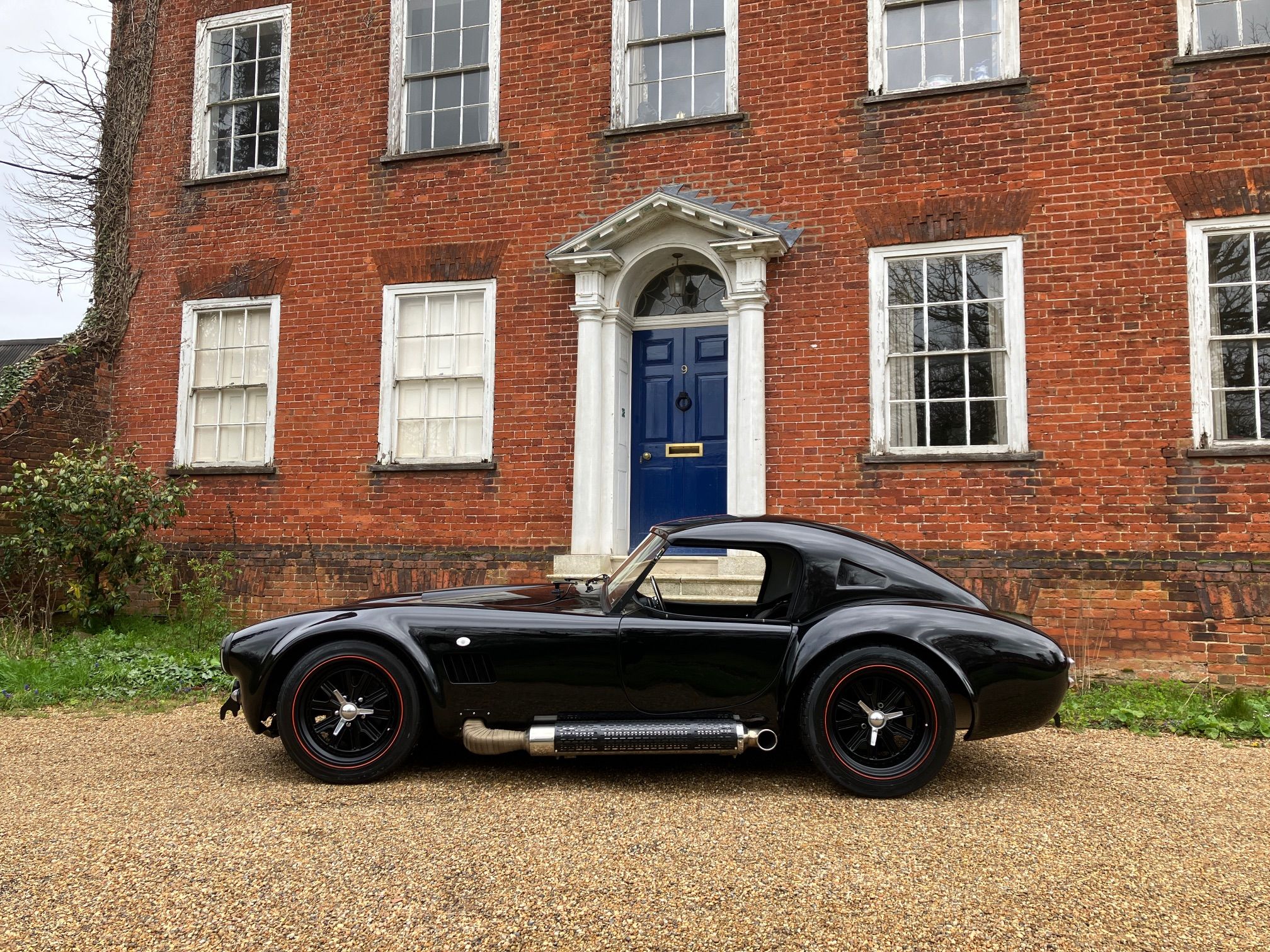 COBRA FOR SALE