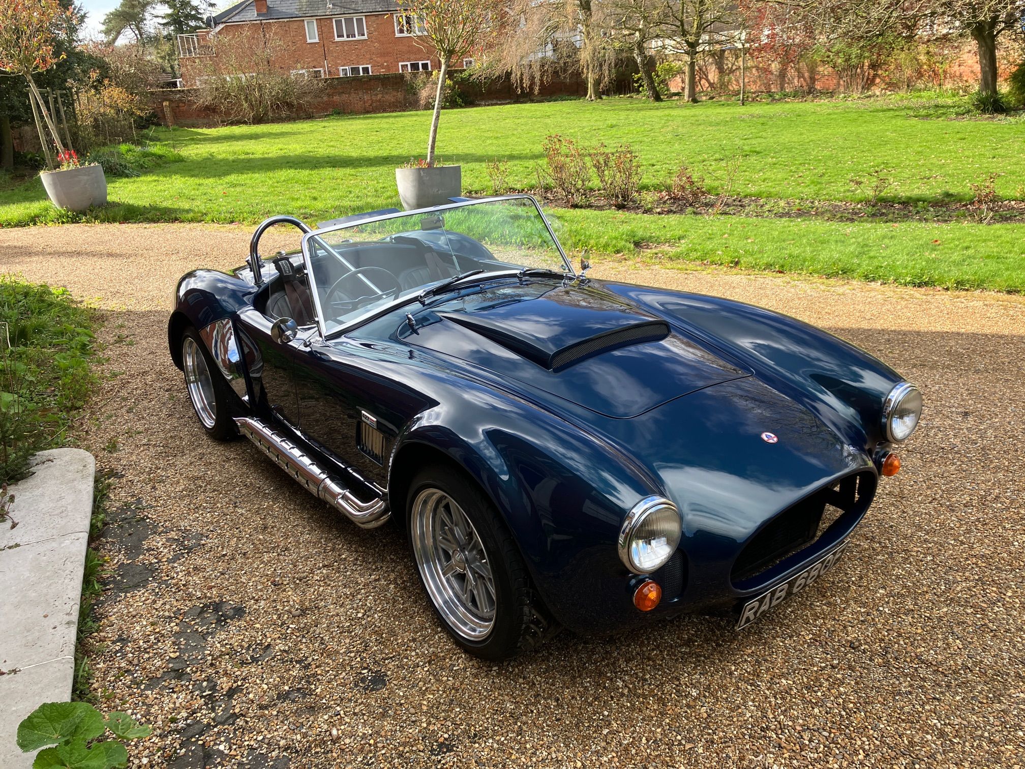 COBRA FOR SALE