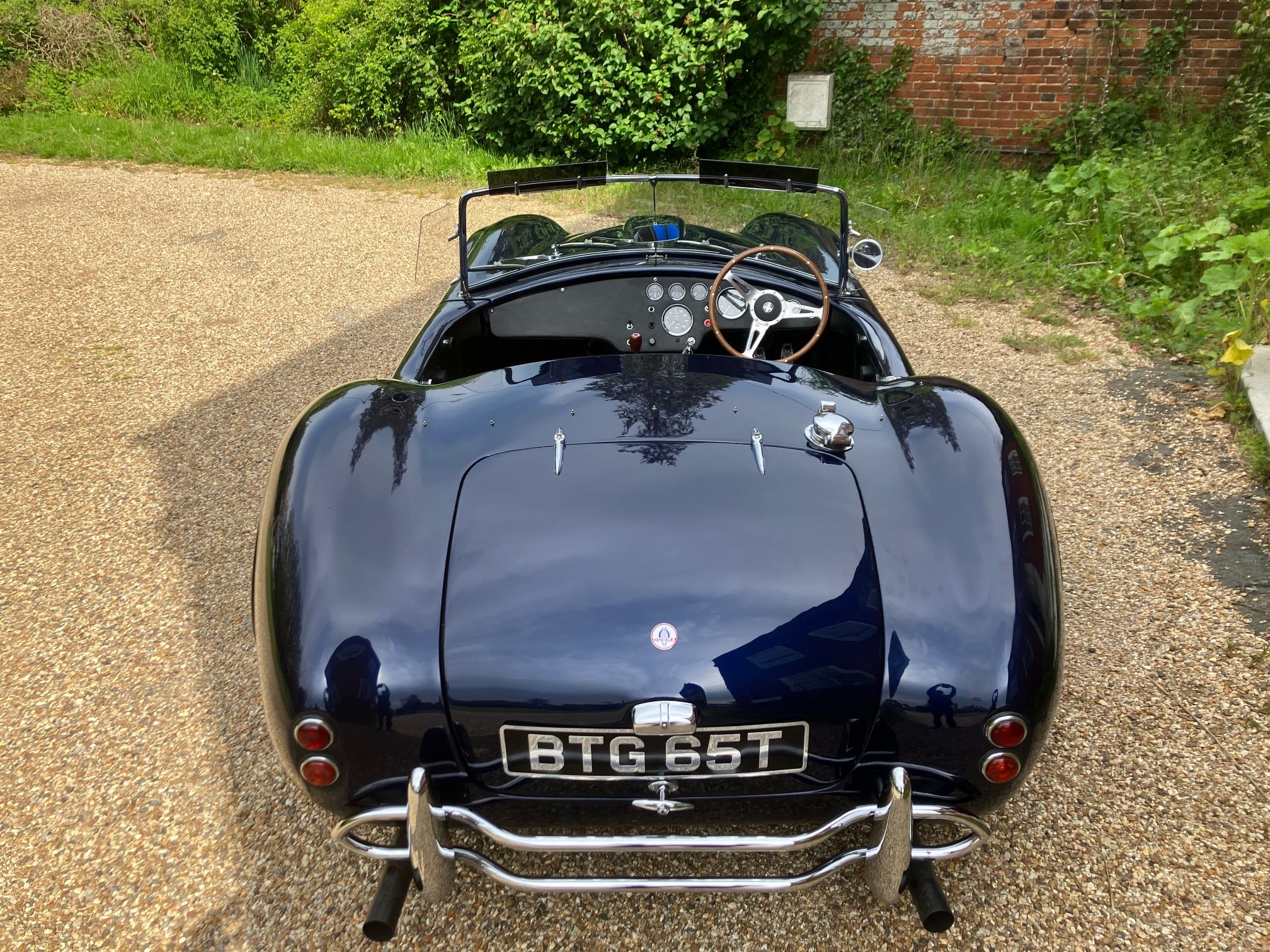 MIDNIGHT BLUE COBRA