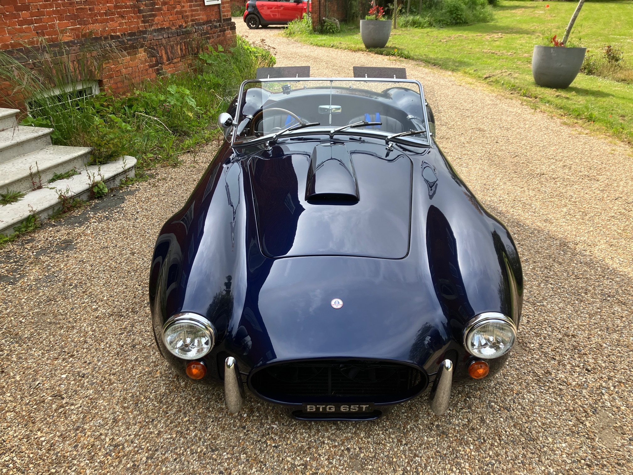 OLD TIMER DAX COBRA