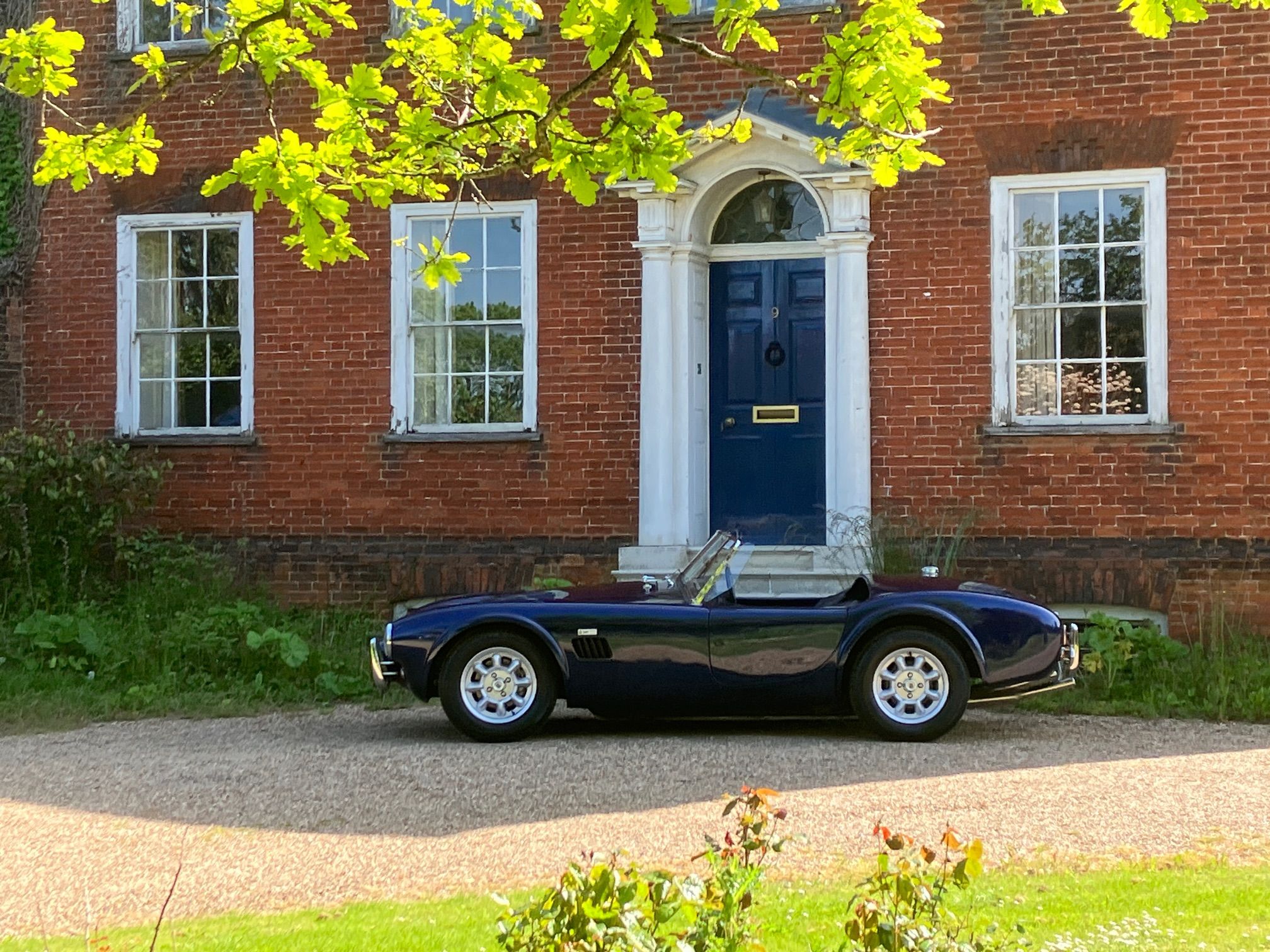 COBRA 289 BLUE