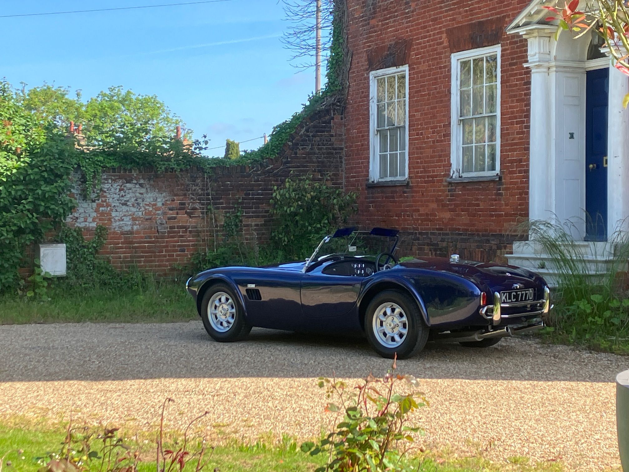 COBRA 289