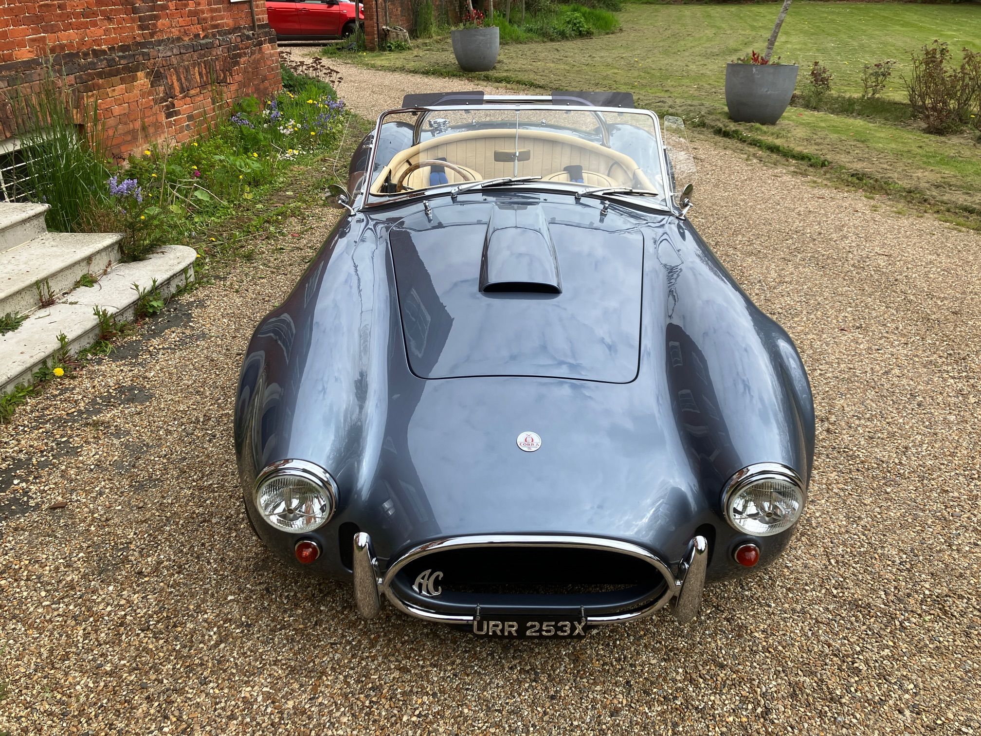 COBRA DAX