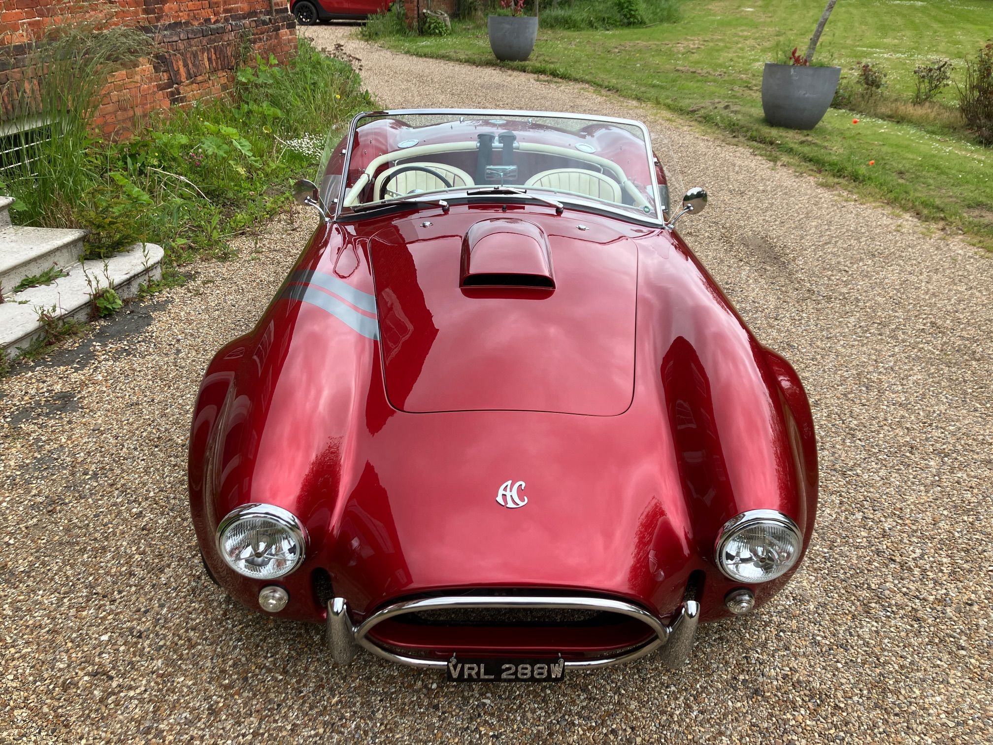 COBRA REPLICA FOR SALE