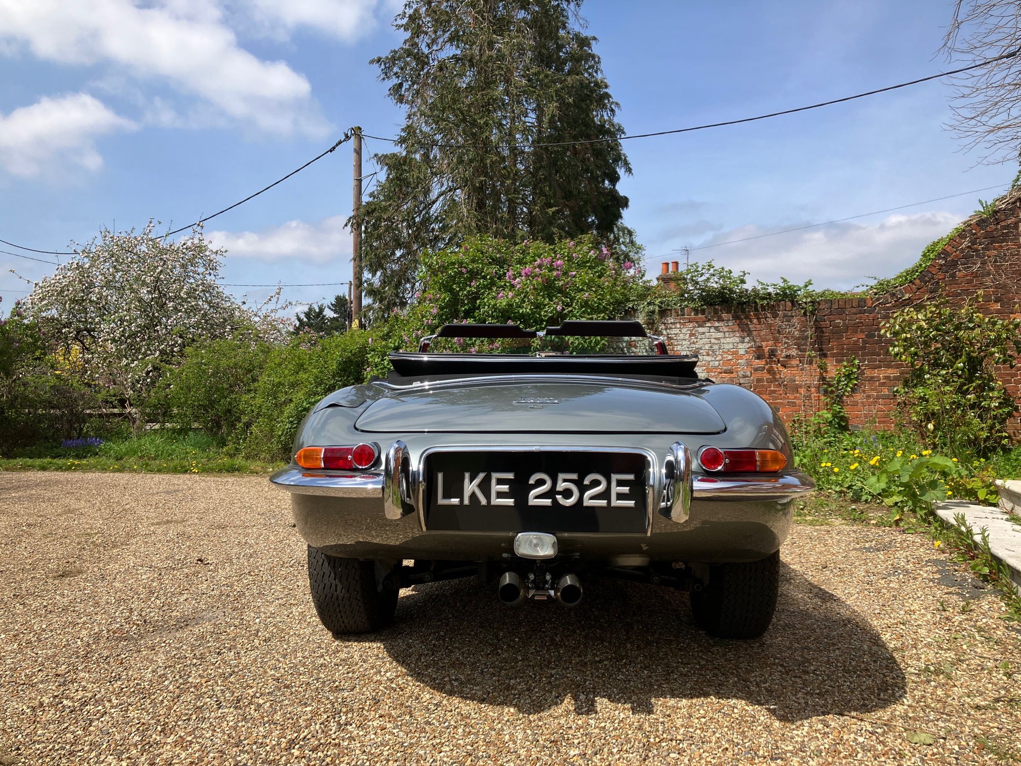 JAGUAR FOR SALE