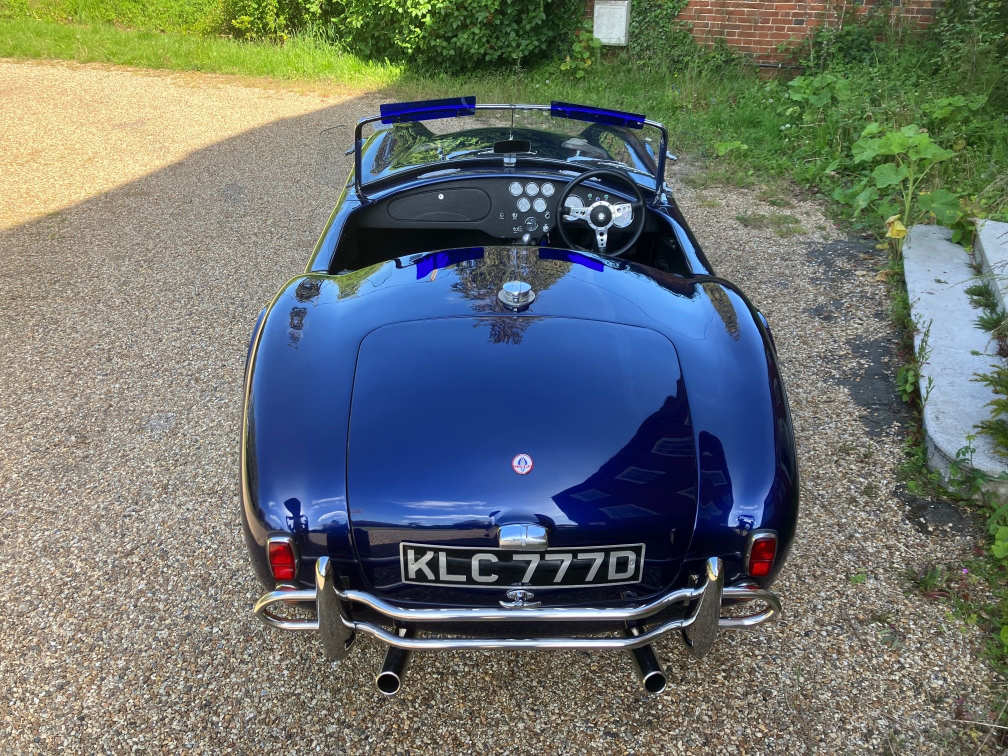 SHELBY BLUE COBRA HAWK