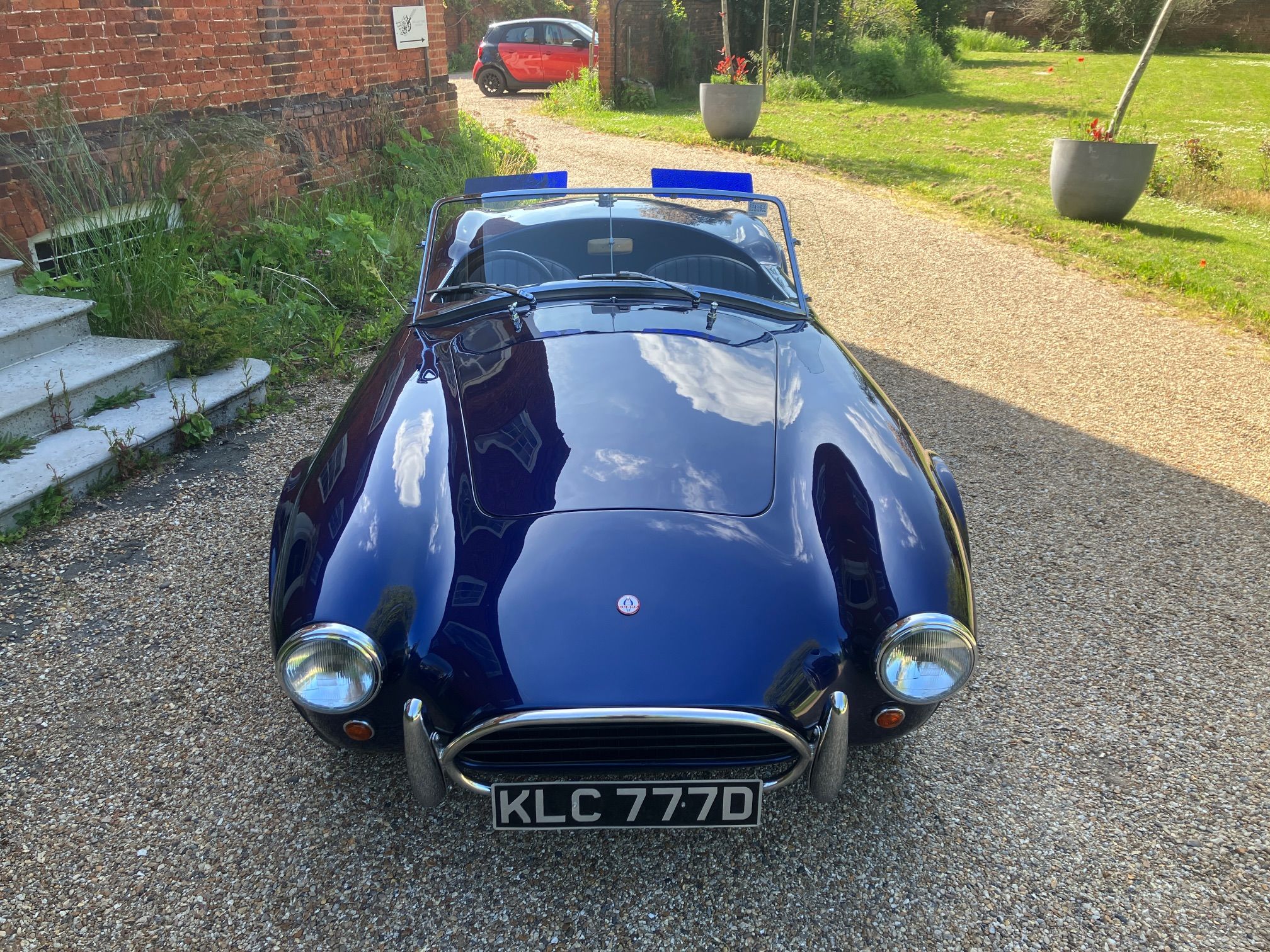 SHELBY COBRA 289 HAWK