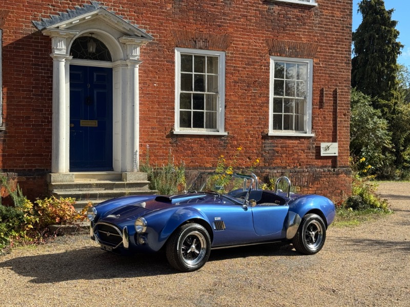 Cobra by Brightwheel Viper