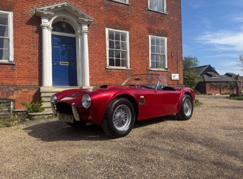 289 COBRA BRA