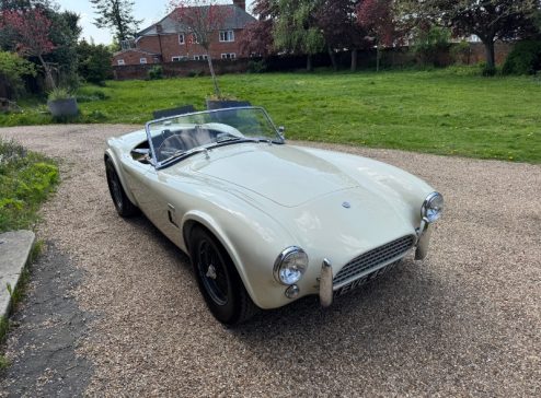 289 COBRA HAWK