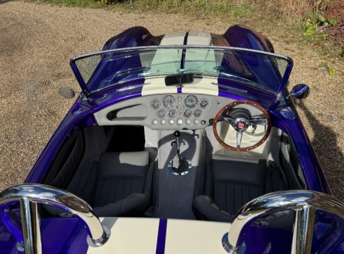 AK COBRA INTERIOR 1