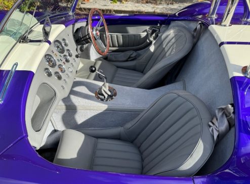 AK COBRA INTERIOR