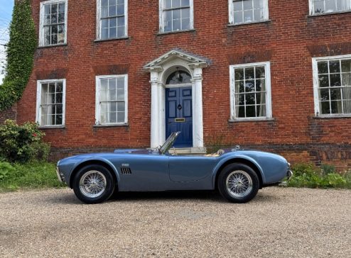 BLUE BRA 289 COBRA