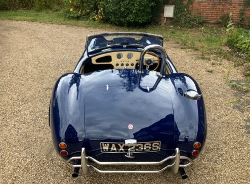 BLUE COBRA