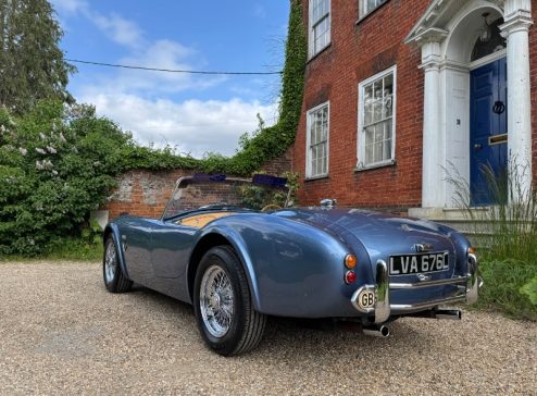 BRA COBRA REPLICA