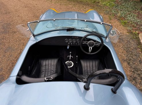COBRA 289 INTERIOR 1