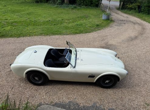 COBRA 289 MK11 BY HAWK