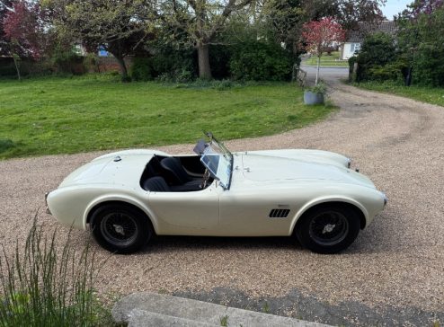 COBRA 289 WHITE