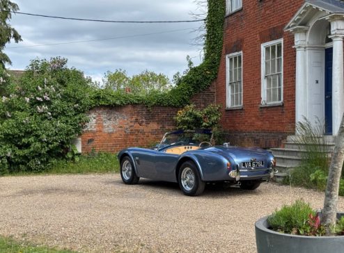 COBRA 289