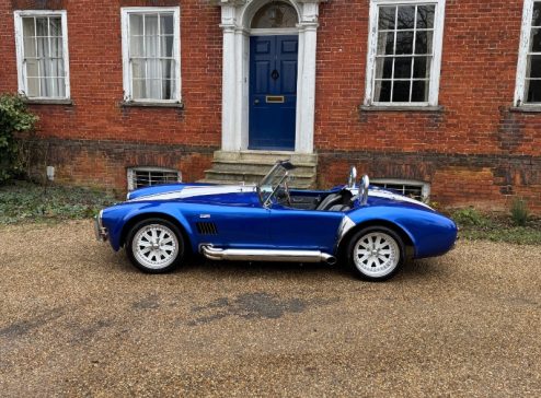 COBRA BLUE AND WHITE STRIPES