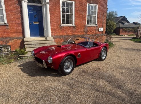 COBRA BRA 289