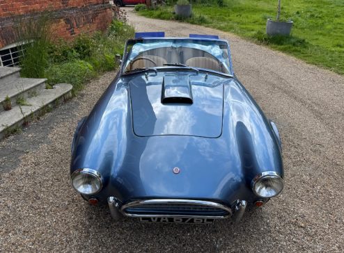 COBRA BRA 289