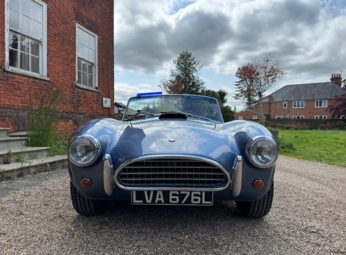 COBRA FOR SALE