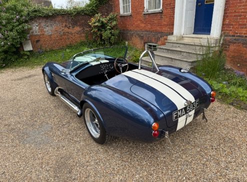 COBRA GARDS BLUE