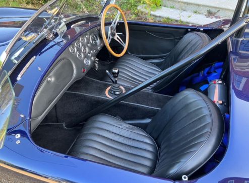 COBRA-INTERIOR-1
