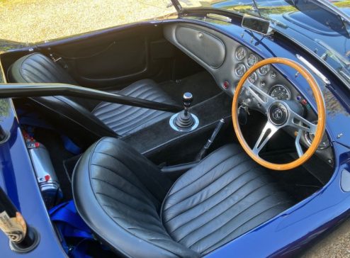 COBRA-INTERIOR-3