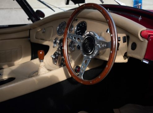COBRA INTERIOR