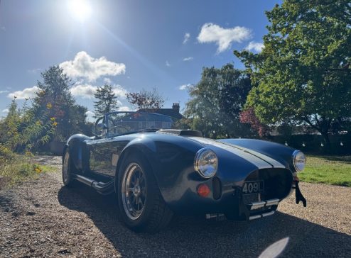 COBRA REPLICA CR029