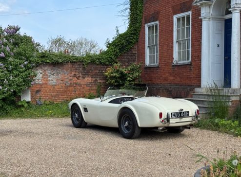 COBRA REPLICA SPECIALISTS