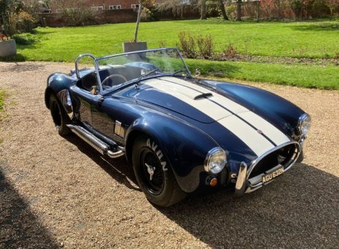 COBRA-REPLICA
