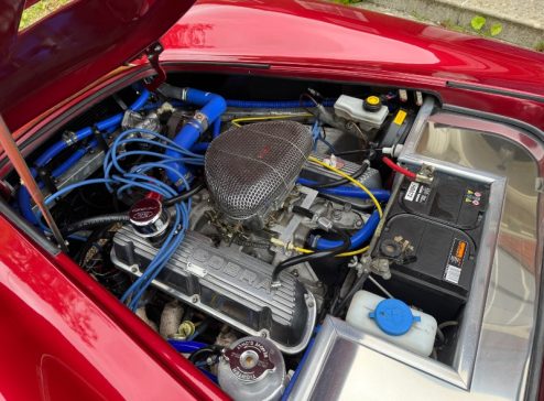 COBRA RV8 1