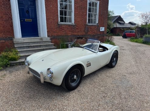 HAWK COBRA FOR SALE