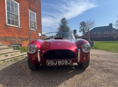 RED BRA COBRA