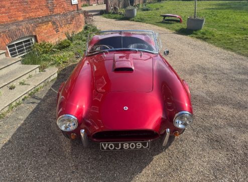 SHELBY COBRA 289 BRA