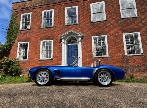 VIKING BLUE COBRA